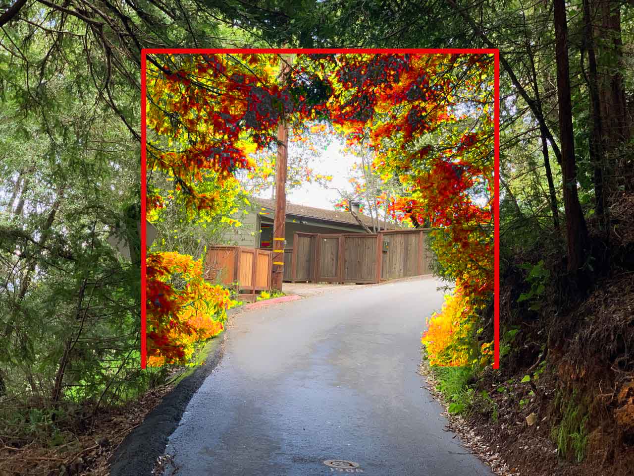 Vegetation clearance overlay — example 1