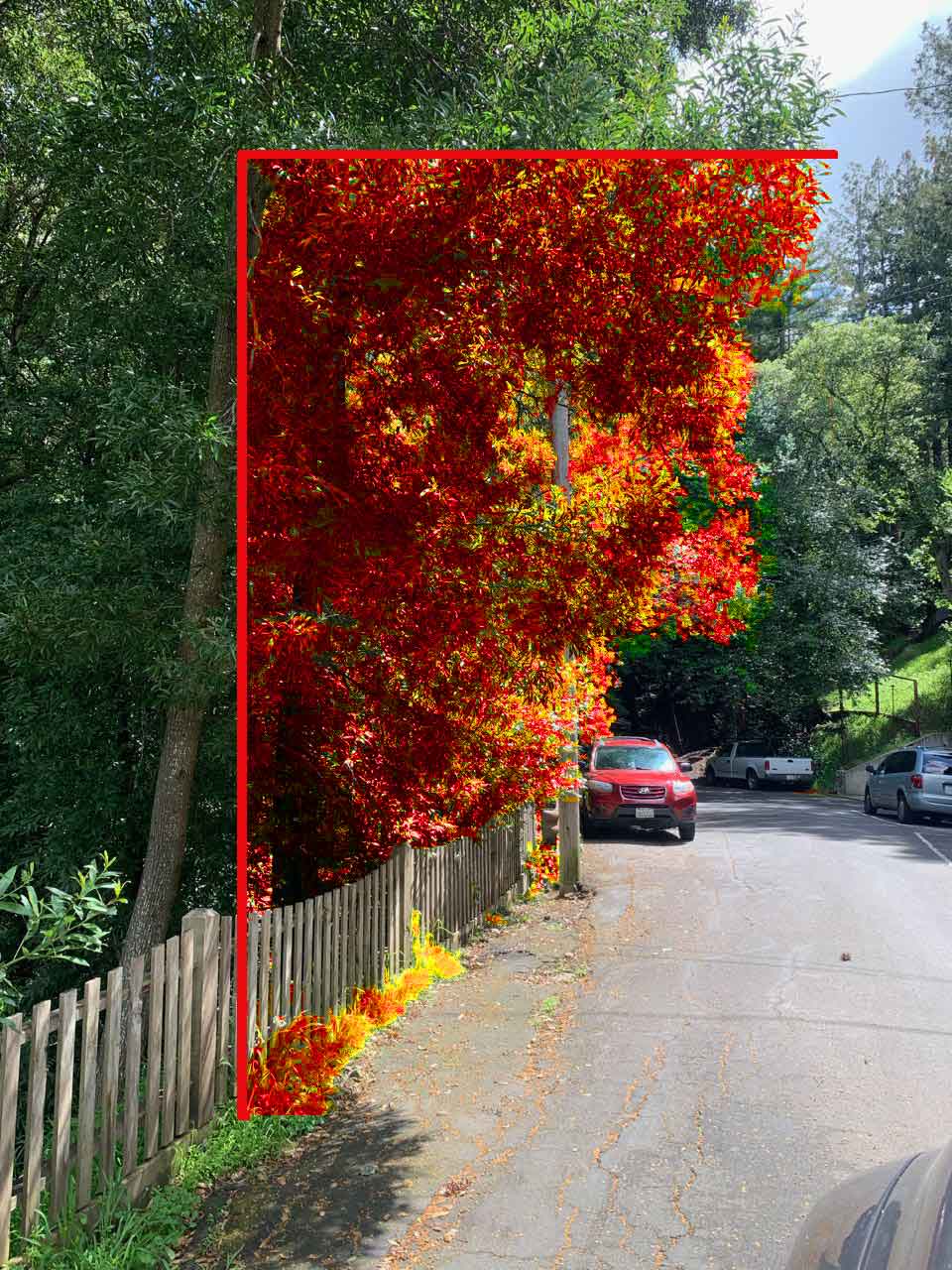Vegetation clearance overlay — example 3