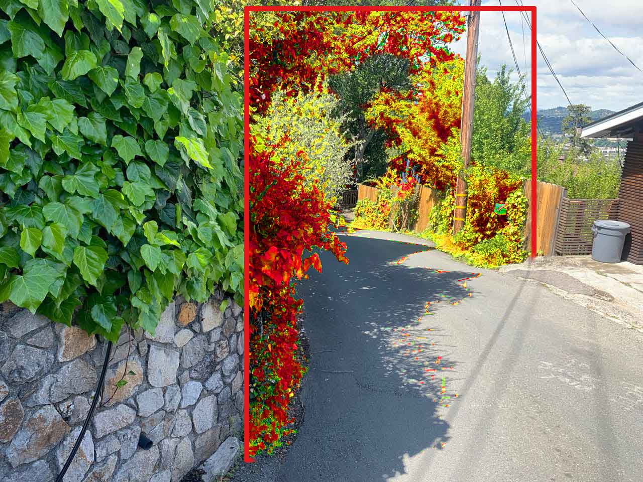 Vegetation clearance overlay — example 4
