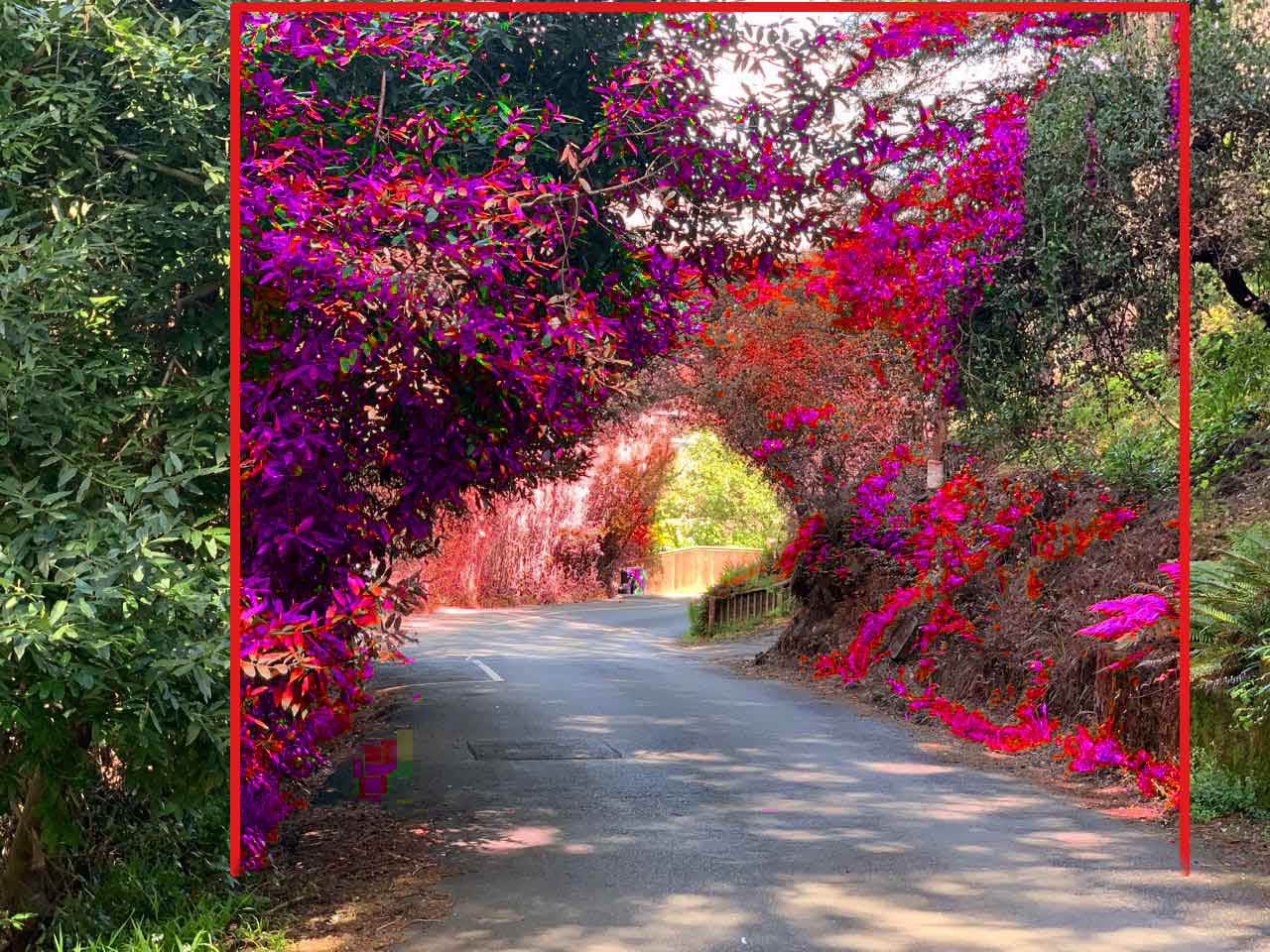 Vegetation clearance overlay — example 5