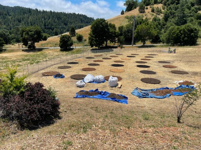 CMFD Participating in Scientific Study of Mulch Flammability