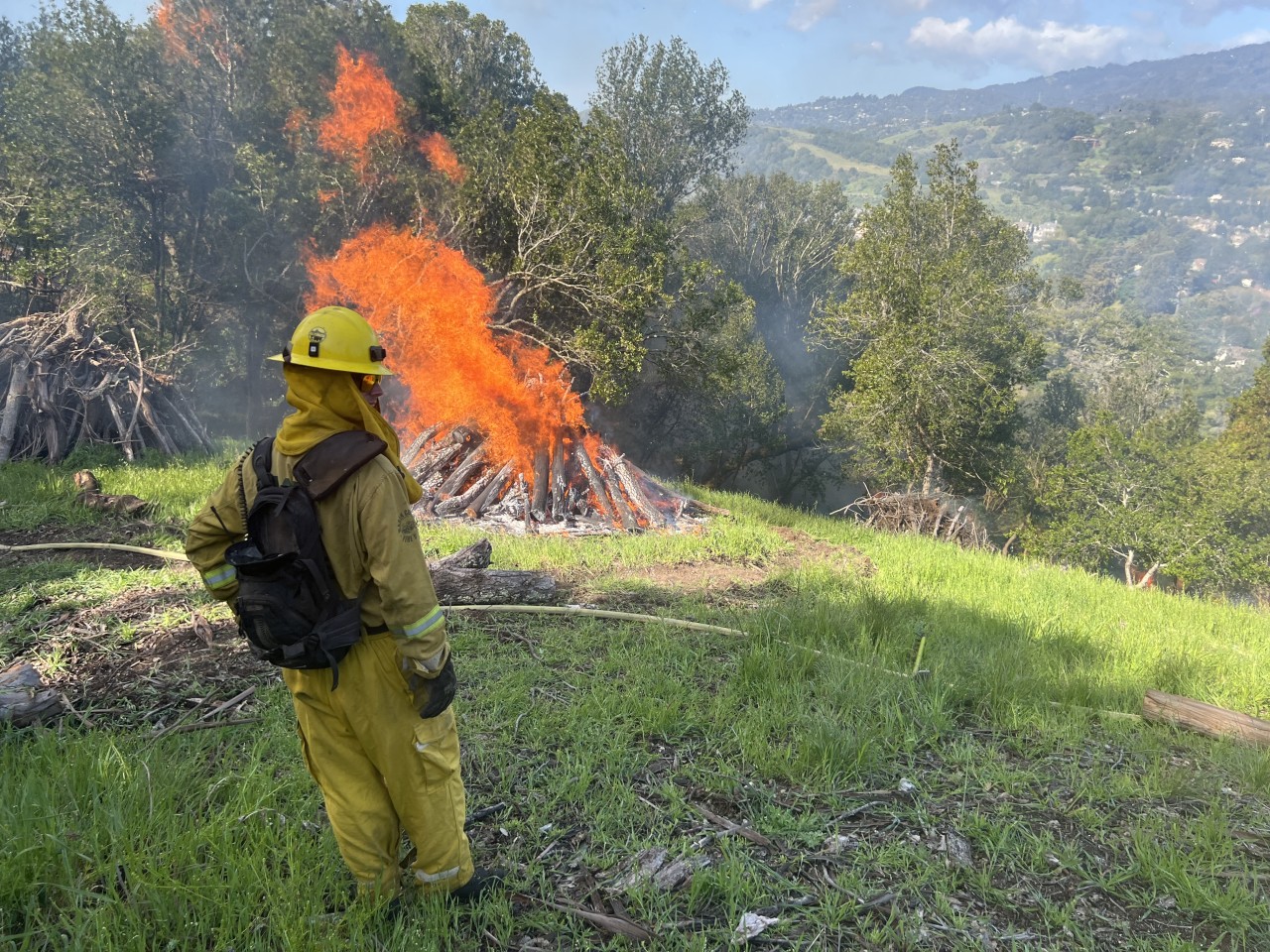 Pile burning Central Marin Fire Department Larkspur and Corte Madera